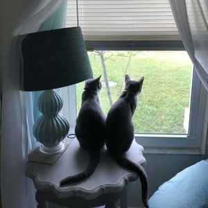 Meet your Posher, Janet